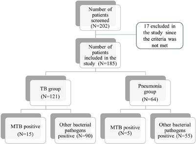 Paediatric pulmonary disease—are we diagnosing it right?